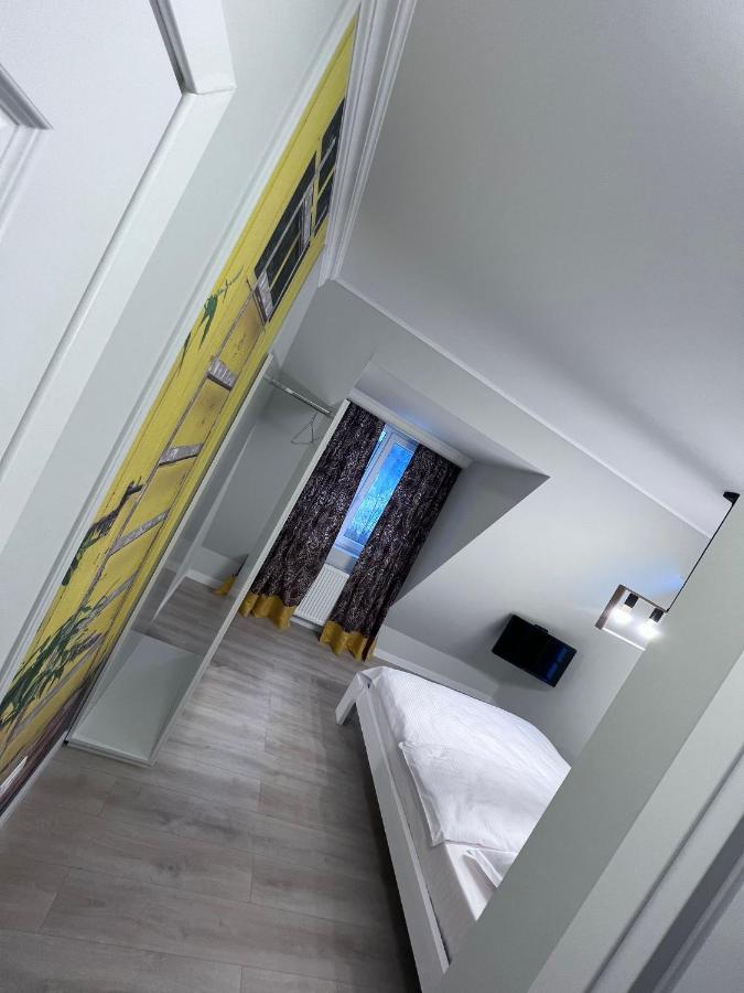 Borşa Doinita Houseヴィラ エクステリア 写真